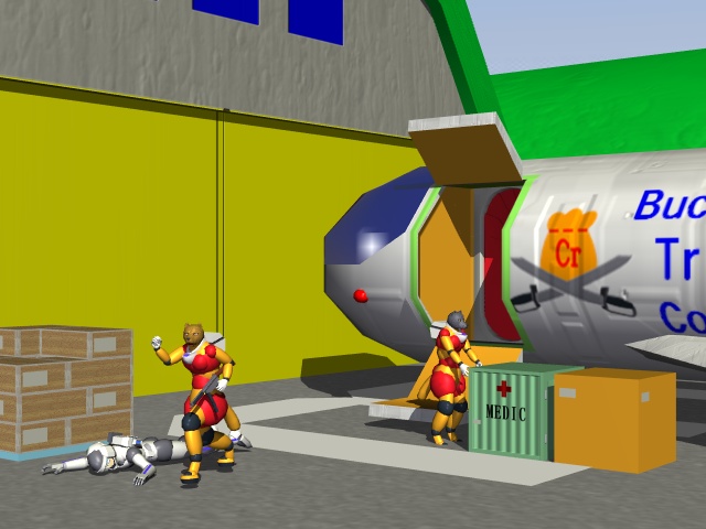 PIRATE09_FIG01.JPG - 77.0KB